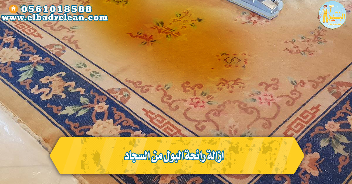 ازالة رائحة البول من السجاد