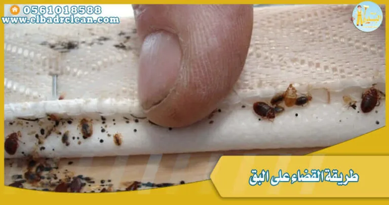 طريقة القضاء علي البق
