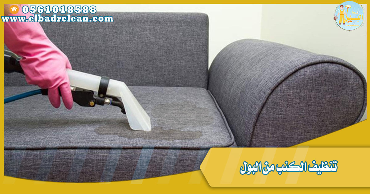 تنظيف الكنب من البول