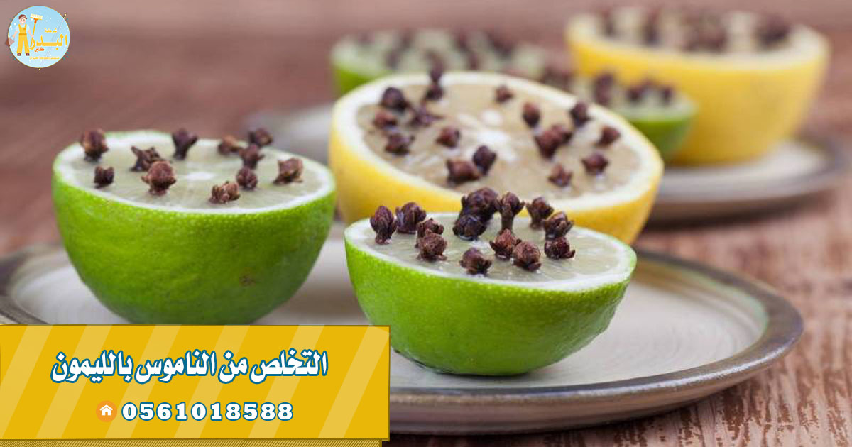 طريقة طرد الناموس بالليمون