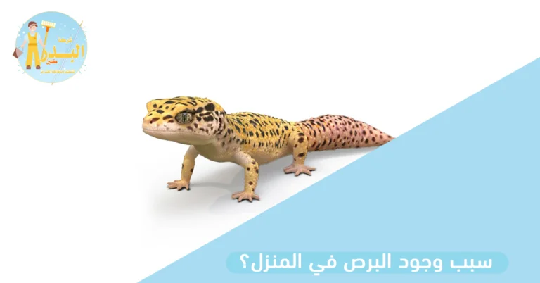 سبب وجود البرص في المنزل