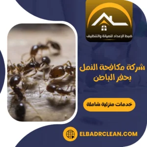 شركة مكافحة النمل بحفر الباطن – 0534391859 – مكافحة حشرات بحفر الباطن