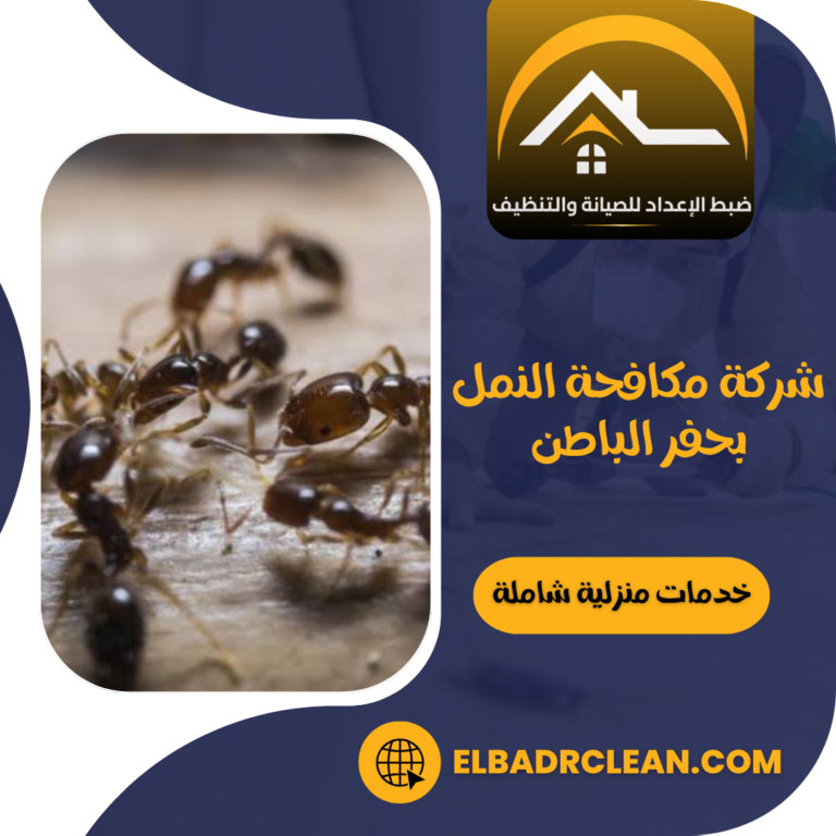 شركة مكافحة النمل بحفر الباطن