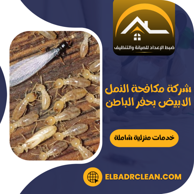 شركة مكافحة النمل الابيض بحفر الباطن