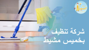 شركة تنظيف بخميس مشيط – 0569521583 – تنظيف منازل بخميس مشيط