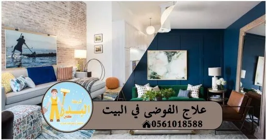 علاج الفوضي في البيت
