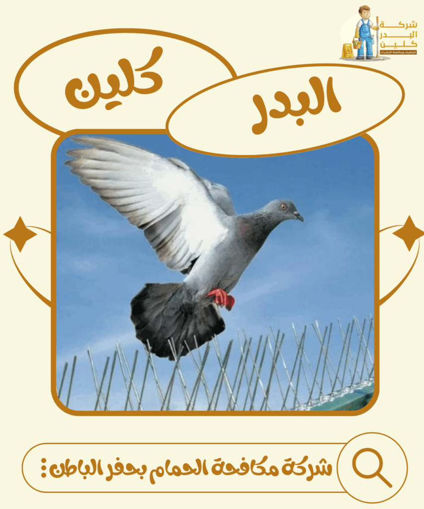 شركة مكافحة الحمام بحفر الباطن