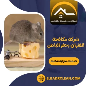شركة مكافحة الفئران بحفر الباطن – 0534391859 – مكافحة حشرات بحفر الباطن