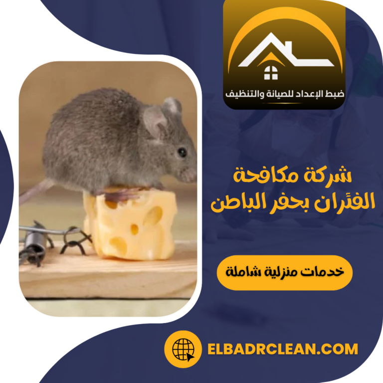 شركة مكافحة الفئران بحفر الباطن