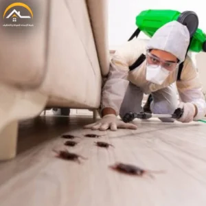 شركة مكافحة حشرات بحفر الباطن – 0534391859 – رش مبيدات بحفر الباطن